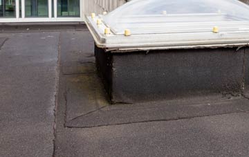 disadvantages of Blacklands flat roofs
